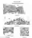 Fig. 09 - TM4SF1 binding proteins and methods of using same