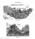 Fig. 11 - TM4SF1 binding proteins and methods of using same