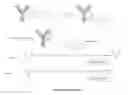 Fig. 05 - Nucleic acid-polypeptide compositions and uses thereof
