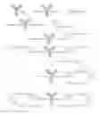 Fig. 16 - Nucleic acid-polypeptide compositions and uses thereof