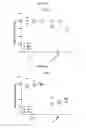 Fig. 32 - Nucleic acid-polypeptide compositions and uses thereof