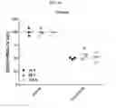 Fig. 33 - Nucleic acid-polypeptide compositions and uses thereof