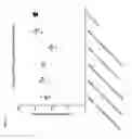 Fig. 59 - Nucleic acid-polypeptide compositions and uses thereof