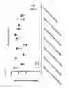 Fig. 70 - Nucleic acid-polypeptide compositions and uses thereof