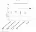 Fig. 83 - Nucleic acid-polypeptide compositions and uses thereof