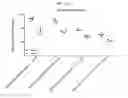 Fig. 97 - Nucleic acid-polypeptide compositions and uses thereof