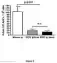 Fig. 06 - Methods and Compositions for the Treatment of Immunomodulatory Diseases and Disorders