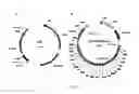 Fig. 05 - Read Through Of Truncated Proteins In Premature Termination Codon Diseases Using An Optimized Genetic Codon Expansion System