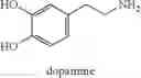 Fig. 09 - Compositions and methods for making (S)-norcoclaurine and (S)-norlaudanosoline, and synthesis intermediates thereof