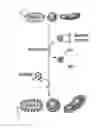 Fig. 01 - METHODS OF ATTACHING PROBES TO MICROORGANISMS AND METHODS OF USE THEREOF
