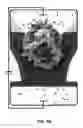 Fig. 07 - Nucleic acid nanoparticles for analyte detection
