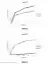 Fig. 02 - SINGLE NUCLEOTIDE DETECTION METHOD