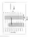 Fig. 05 - Methods and kits for highly multiplex single primer extension