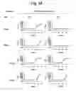 Fig. 03 - Signal extraction for a target nucleic acid sequence