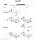 Fig. 04 - Signal extraction for a target nucleic acid sequence