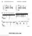 Fig. 12 - MSP nanopores and related methods