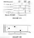 Fig. 14 - MSP nanopores and related methods