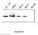 Fig. 22 - MSP nanopores and related methods