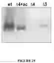 Fig. 28 - MSP nanopores and related methods