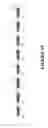 Fig. 34 - MSP nanopores and related methods