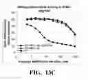 Fig. 23 - Conjugates of biomolecules to nanoparticles