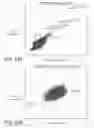 Fig. 23 - METHODS OF PROGNOSING, DIAGNOSING AND TREATING IDIOPATHIC PULMONARY FIBROSIS