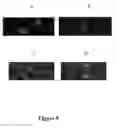 Fig. 10 - Compositions and methods for diagnosis and treatment of epilepsy