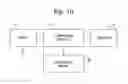 Fig. 08 - GENETIC TEST FOR LIVER COPPER ACCUMULATION IN DOGS