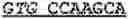 Fig. 44 - Tumor determination method