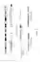 Fig. 02 - COMPOSITIONS AND METHODS FOR SCREENING PEDIATRIC GLIOMAS AND METHODS OF TREATMENT THEREOF