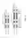 Fig. 09 - COMPOSITIONS AND METHODS FOR SCREENING PEDIATRIC GLIOMAS AND METHODS OF TREATMENT THEREOF