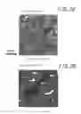 Fig. 03 - HIGH-STRENGTH COLD ROLLED STEEL SHEET AND METHOD OF PRODUCING SAME
