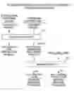 Fig. 01 - Scandium purification method
