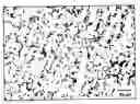 Fig. 01 - COPPER ALLOY CONTAINING TIN, METHOD FOR PRODUCING SAME, AND USE OF SAME
