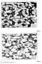 Fig. 04 - COPPER ALLOY CONTAINING TIN, METHOD FOR PRODUCING SAME, AND USE OF SAME