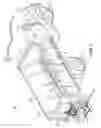 Fig. 02 - Spreader