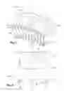 Fig. 04 - Rectifier for aircraft turbomachine compressor, comprising air extraction openings having a stretched form in the peripheral direction