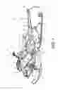 Fig. 02 - Air intake and exhaust systems for a snowmobile engine