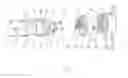 Fig. 02 - Stabilizer