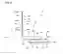 Fig. 07 - Vehicle lamp