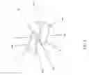 Fig. 09 - Stepped damper
