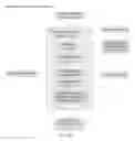 Fig. 09 - Local and global peak matching
