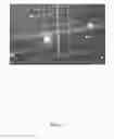Fig. 04 - Device for imaging 1-D nanomaterials