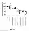 Fig. 37 - MACRO TISSUE EXPLANT, METHODS AND USES THEREFOR