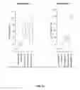 Fig. 45 - MACRO TISSUE EXPLANT, METHODS AND USES THEREFOR