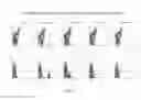 Fig. 02 - Composition for stabilization of antibody formulations containing PerCP