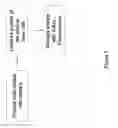 Fig. 02 - Methods for measuring analyte transport across barriers using X-ray fluorescence