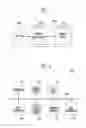 Fig. 02 - MEMORY SYSTEM AND OPERATING METHOD THEREOF
