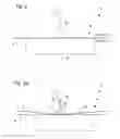 Fig. 03 - Separation plane compression