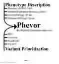 Fig. 02 - SYSTEMS AND METHODS FOR STRING REPRIORITIZATION